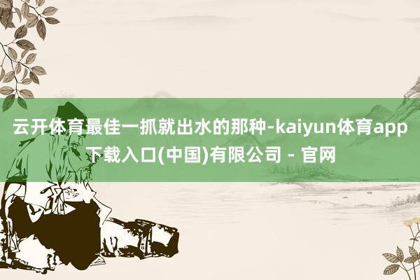 云开体育最佳一抓就出水的那种-kaiyun体育app下载入口(中国)有限公司 - 官网