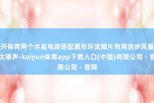 云开体育两个冰鲨电扇搭配翼形环流鳍片有用进步风量并裁汰噪声-kaiyun体育app下载入口(中国)有限公司 - 官网
