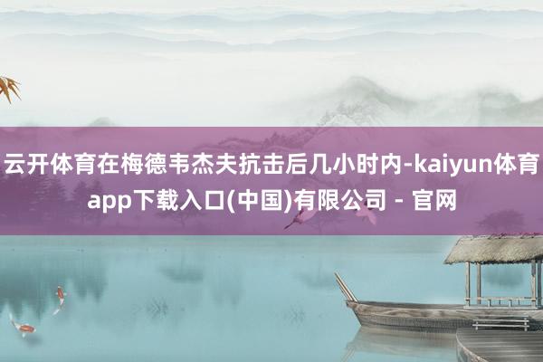 云开体育在梅德韦杰夫抗击后几小时内-kaiyun体育app下载入口(中国)有限公司 - 官网