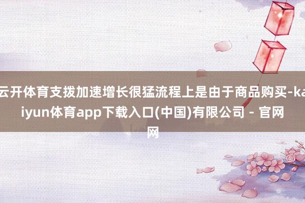 云开体育支拨加速增长很猛流程上是由于商品购买-kaiyun体育app下载入口(中国)有限公司 - 官网