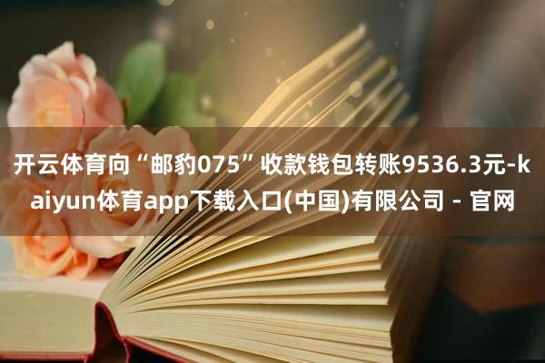 开云体育向“邮豹075”收款钱包转账9536.3元-kaiyun体育app下载入口(中国)有限公司 - 官网