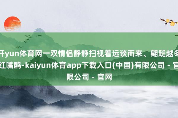 开yun体育网一双情侣静静扫视着远谈而来、翩跹越冬的红嘴鸥-kaiyun体育app下载入口(中国)有限公司 - 官网