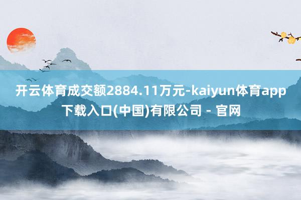 开云体育成交额2884.11万元-kaiyun体育app下载入口(中国)有限公司 - 官网